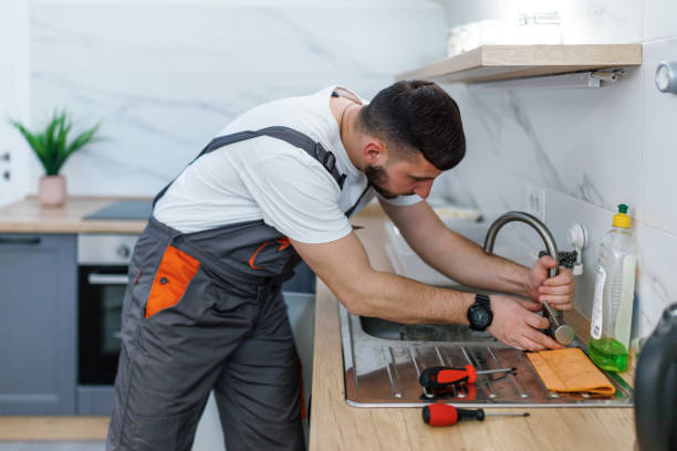 Best Residential Plumbing Services  in Fruita, CO